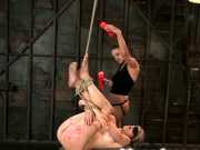 ����� ������ ultimate guestbook