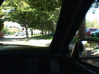 ����� ���� �� �����