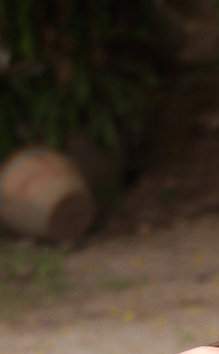 蔡依林三点尽露，蔡依林露毛裸图，