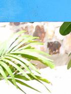 林心如裸照DICERTAGSEND