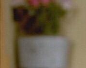 璩美凤03029.@