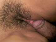 ������������� ��������